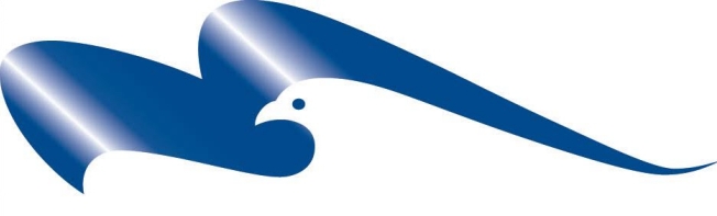 iFund logo